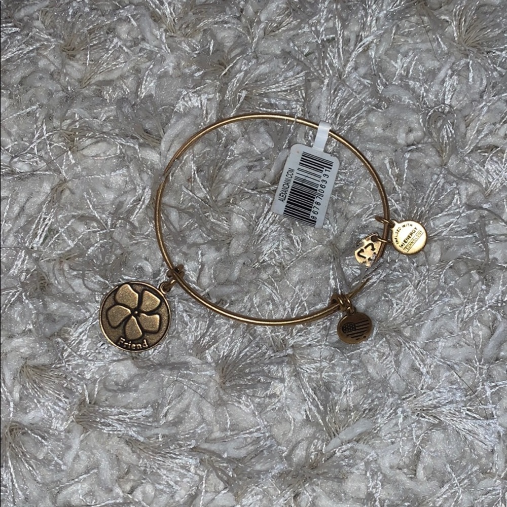ALEX & ANI Friend Bracelet